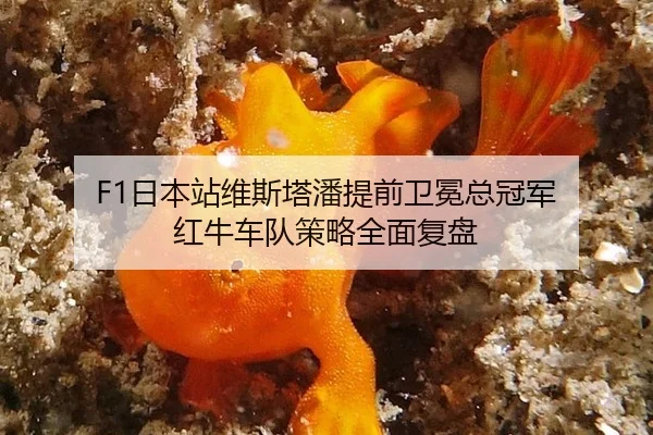 ri-ben-zhan-wei-si-ta-pan-ti-qian-wei-mian-zong-guan-jun-hong-niu-che-dui-ce-lve-quan-mian-fu-pan-2-569.jpg