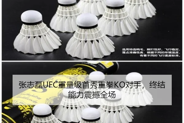 张志磊UFC重量级首秀重拳KO对手，终结能力震撼全场