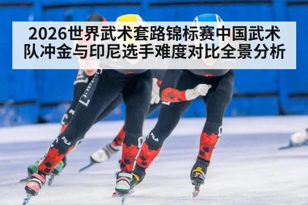 2026世界武术套路锦标赛中国武术队冲金与印尼选手难度对比全景分析